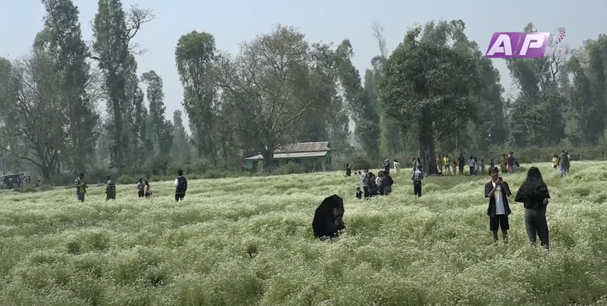 TikToker bi cam anh 2