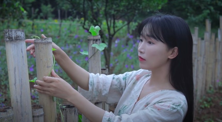 Ly Tu That ngung quay video anh 1