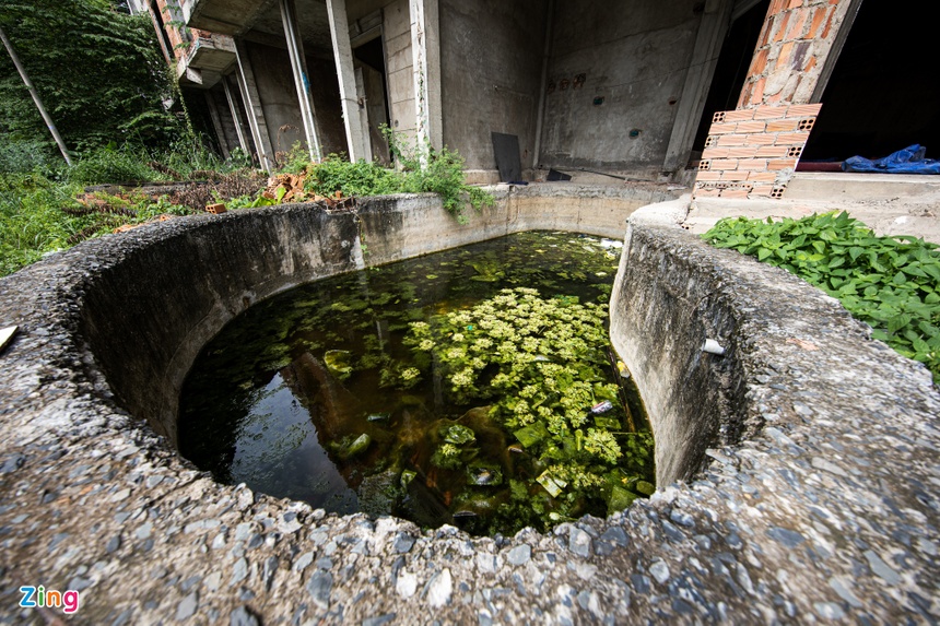 Biet thu tien ty bo hoang TPHCM anh 10